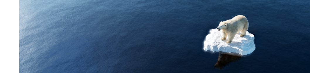 There's a 40% chance of the annual average global temperature reaching 1.5°C above pre-industrial level in at least one of the next 5 years.