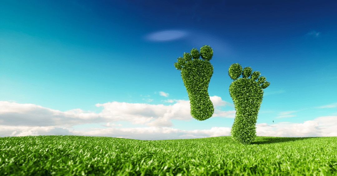 carbon cost