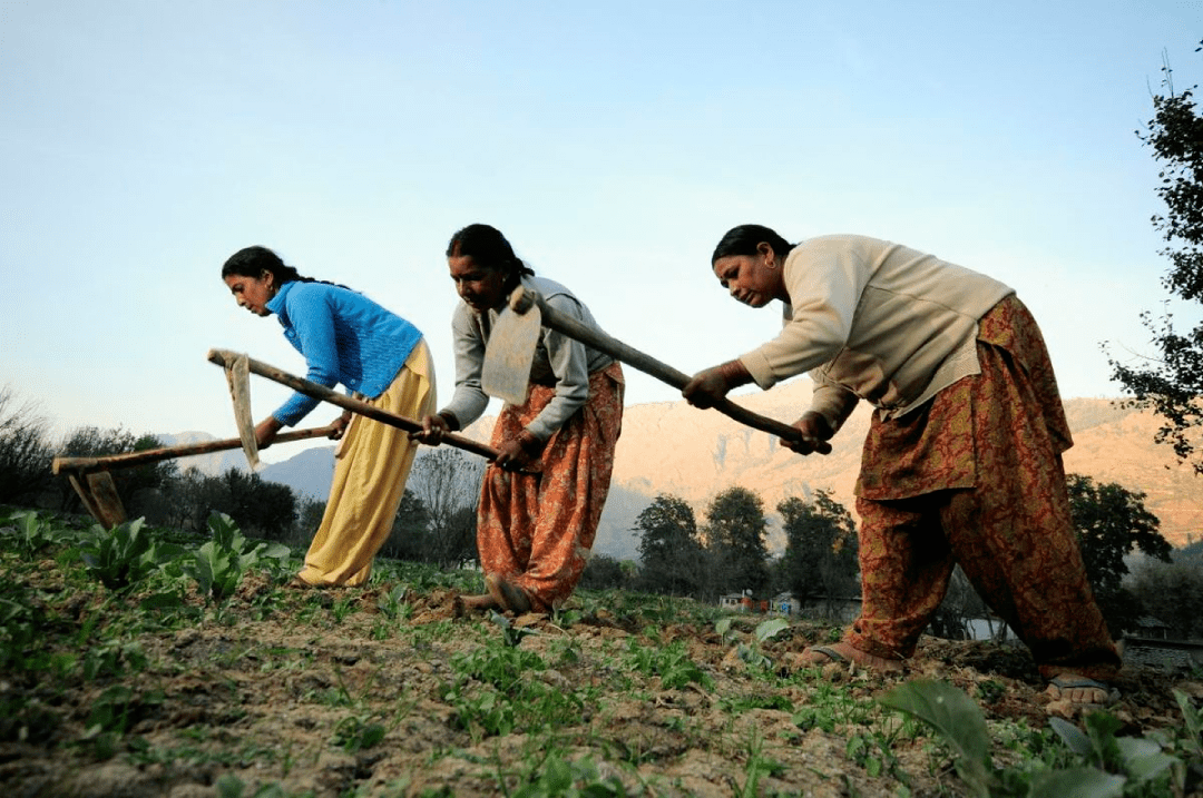 India
