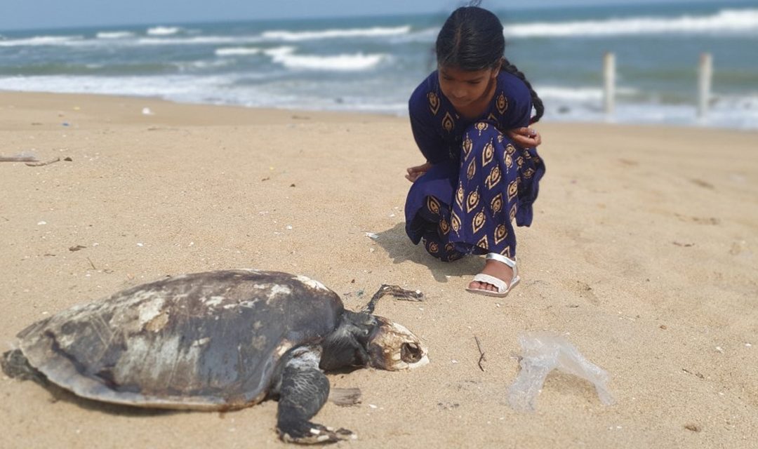 8-year-old Indian scuba diver Tharaagai Aarathana’s deep dive into marine conservation