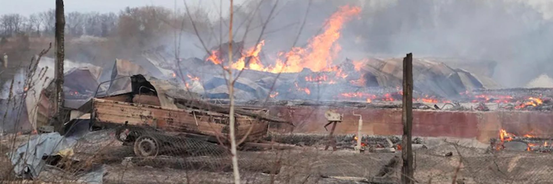 Ukraine Crisis | Energy Sector