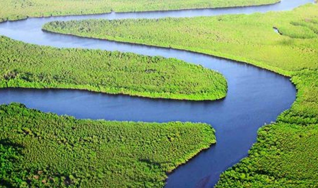 How India’s young environmentalists are batting for planet Earth