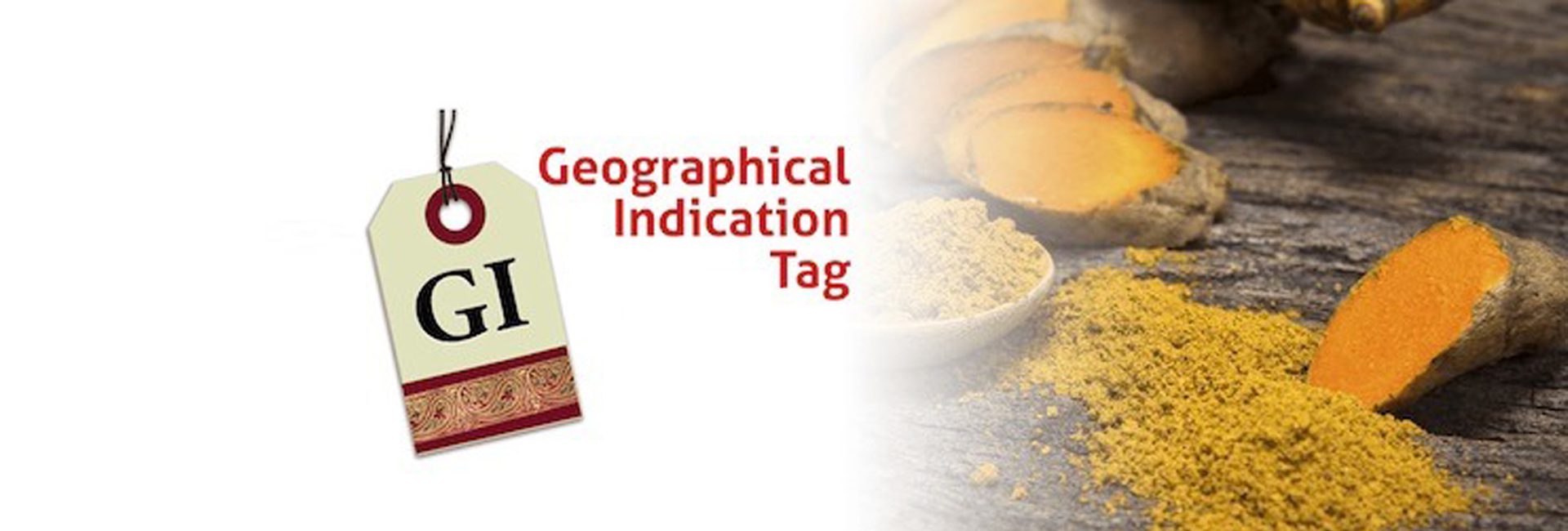 GI Tag