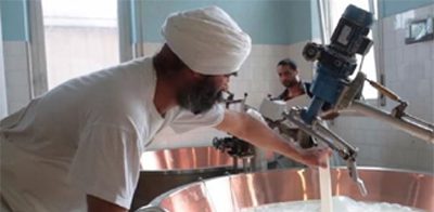 Sikh | Parmesan | Global Indian