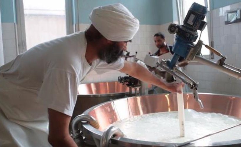 Sikh | Parmesan | Global Indian
