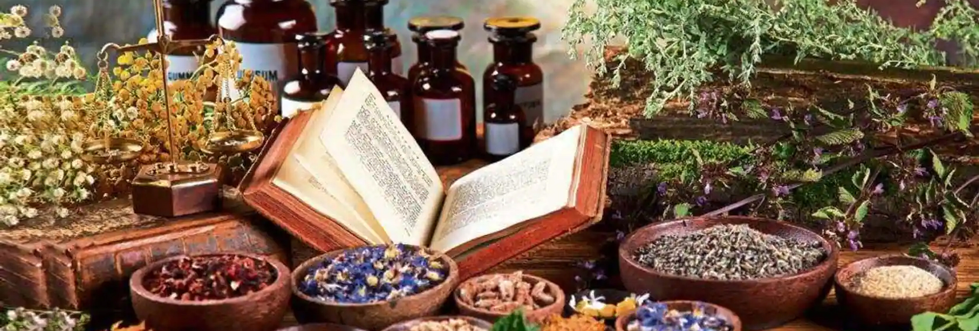 ayurveda