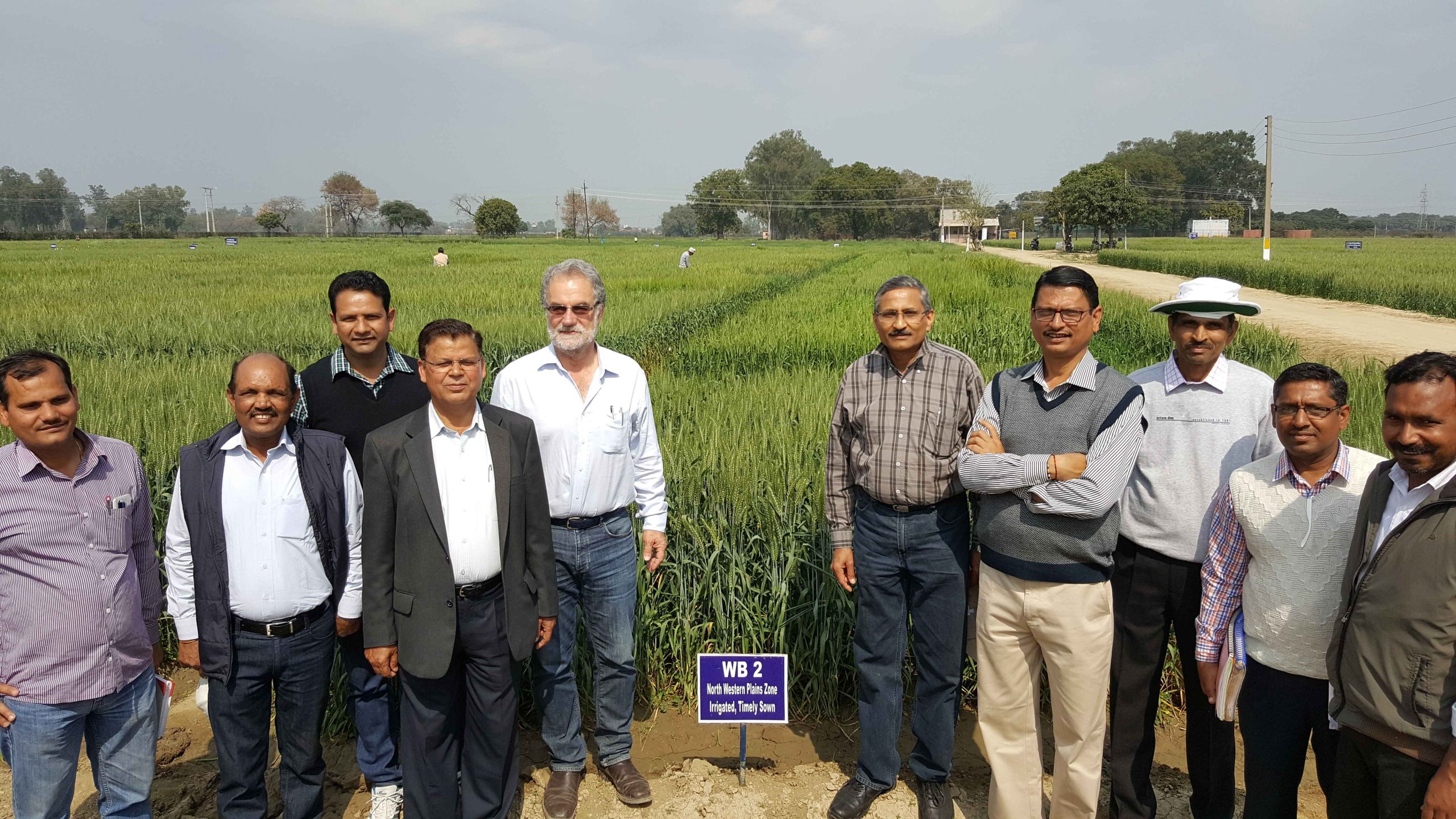 Scientist | Dr Ravi Prakash Singh | Global Indian