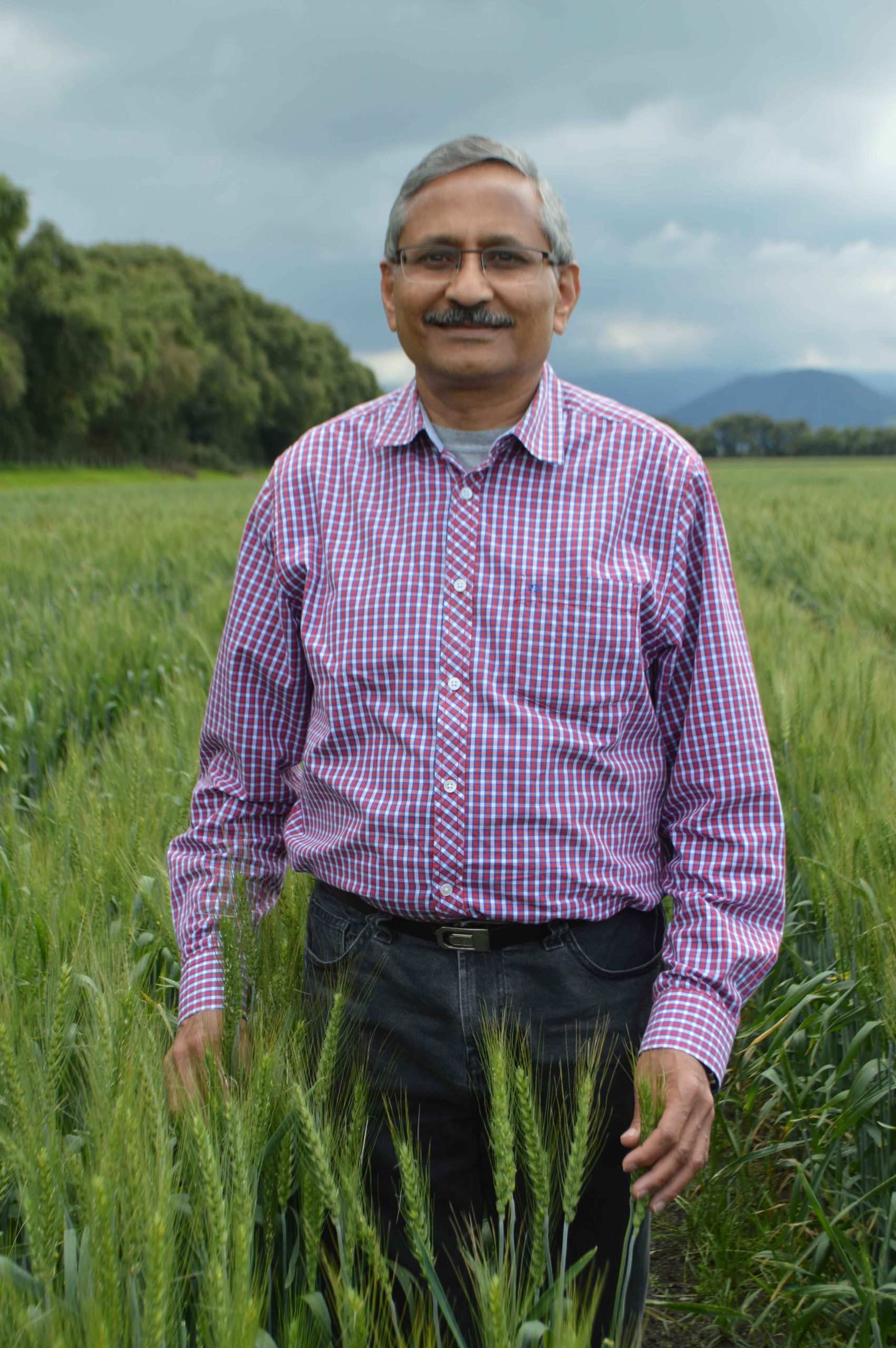 Scientist | Dr Ravi Prakash Singh | Global Indian