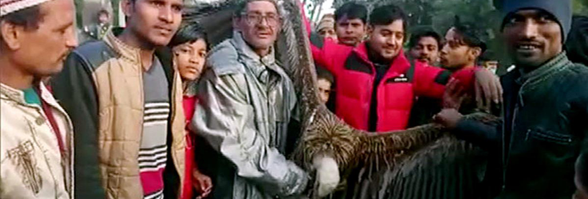 Locals in Kanpur rescued a rare species of the Himalayan Griffon Vulture near the city's Edigah cemetery. It was handed over to the Forest Department. Photo credit: ANI
