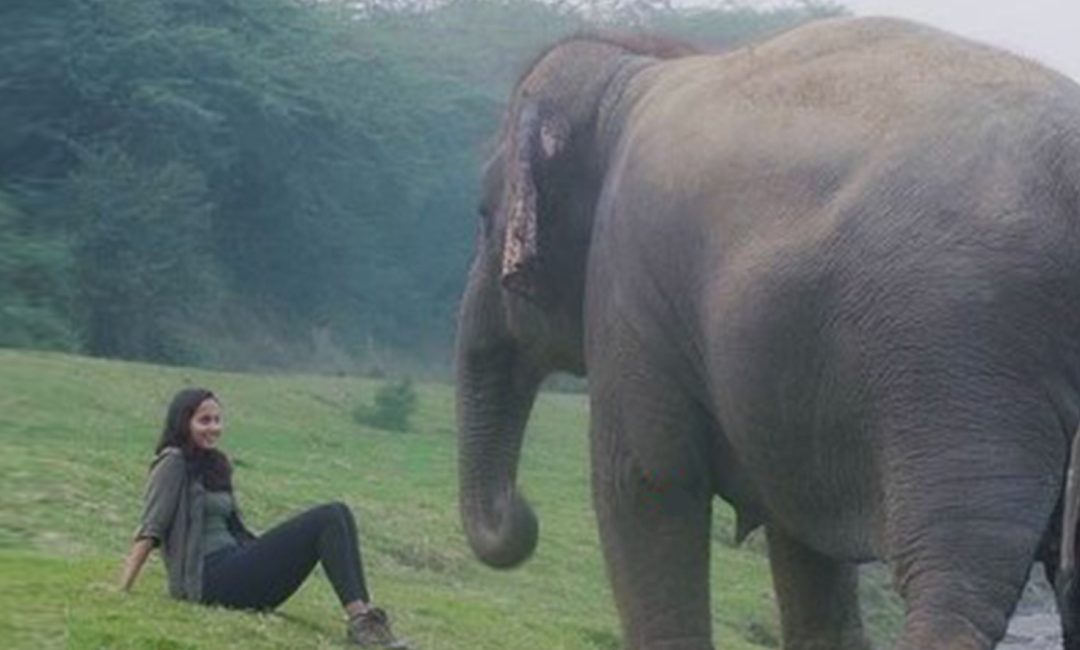 Swimming with sharks: Into the wild with Malaika Vaz