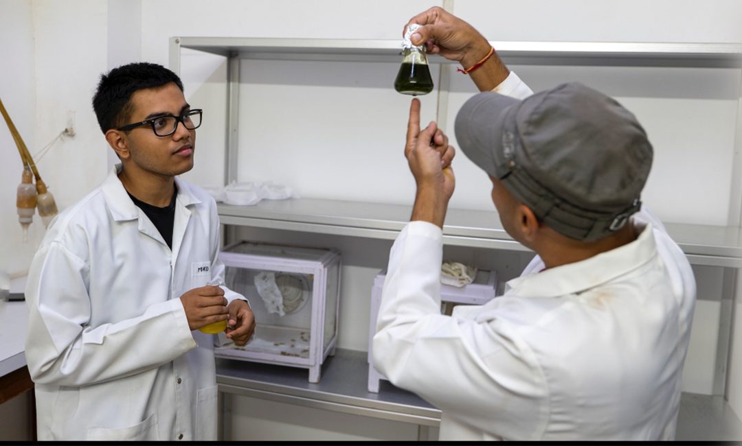 Sarvesh Prabhu’s bio-insecticide is a boon for farmers