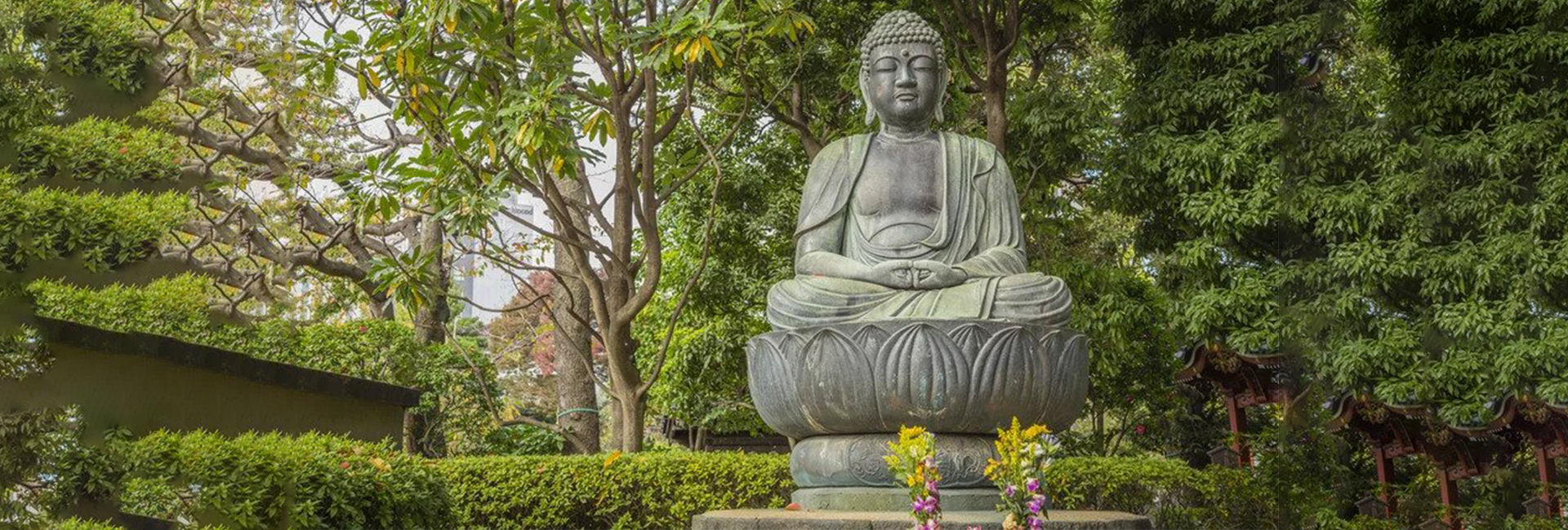 How an American helped revive Buddhism in Sri Lanka after moving to India