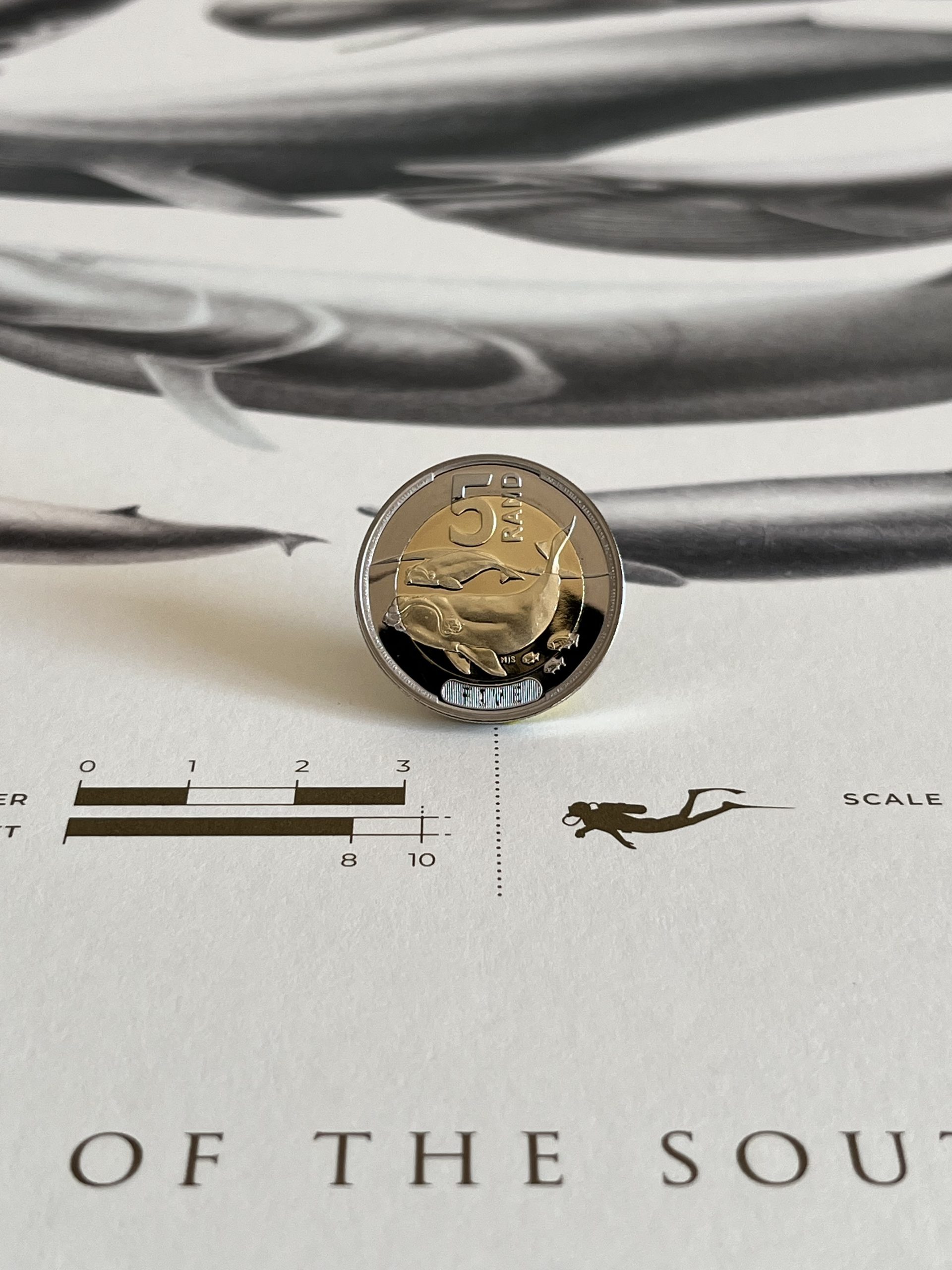 New 5 Rand coin