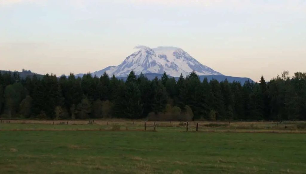 Mt Rainier 