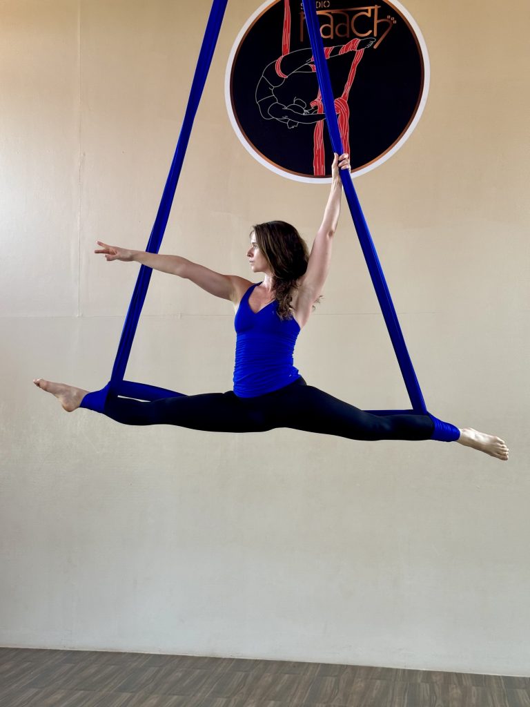 Caroline Mulliez | The Blue Kite | Global Indian