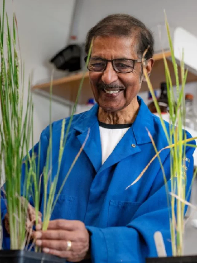 How Venkatesan Sundaresan’s 2024 Wolf Prize-winning agricultural discovery will feed billions