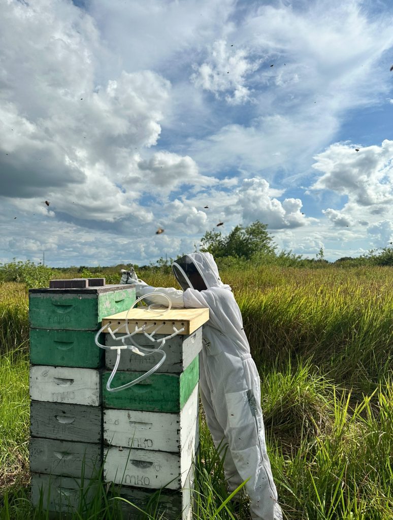 Eco-Friendly Pesticide | Global Indian