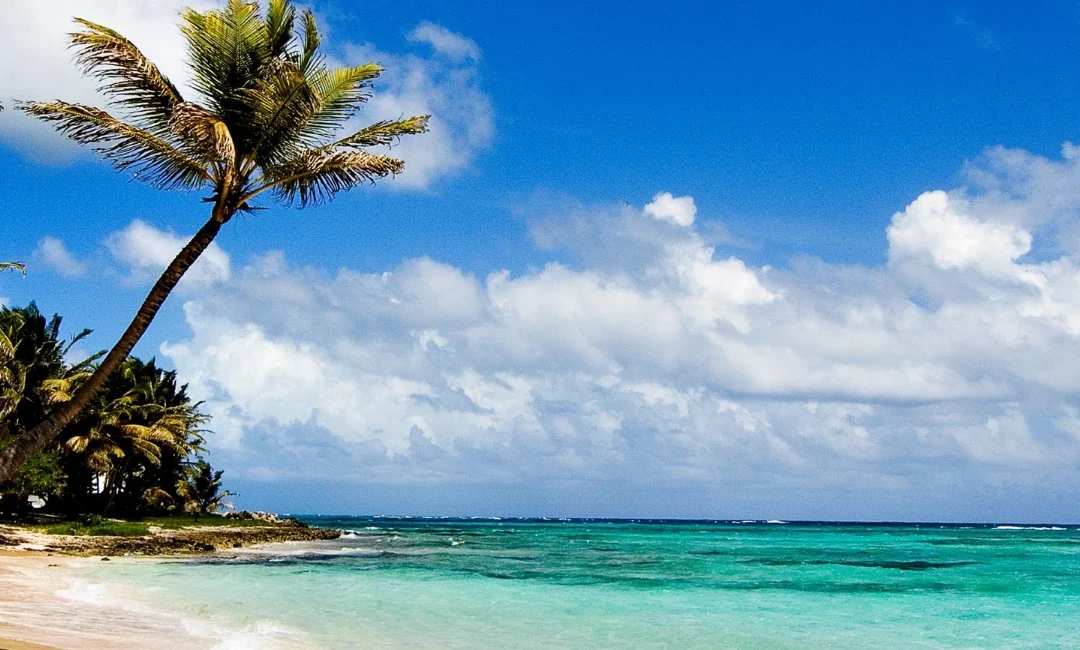 Life in Mombasa: A coastal dream