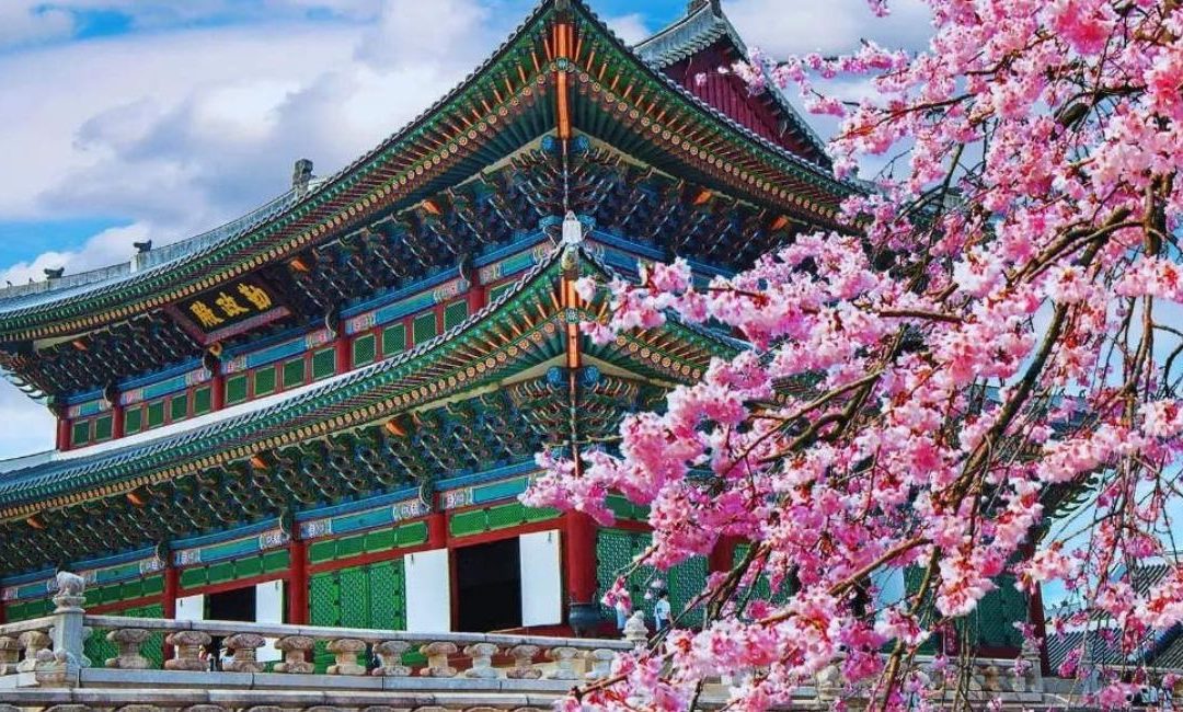 From India to Korea: An IT professional’s journey of finding home in Seoul