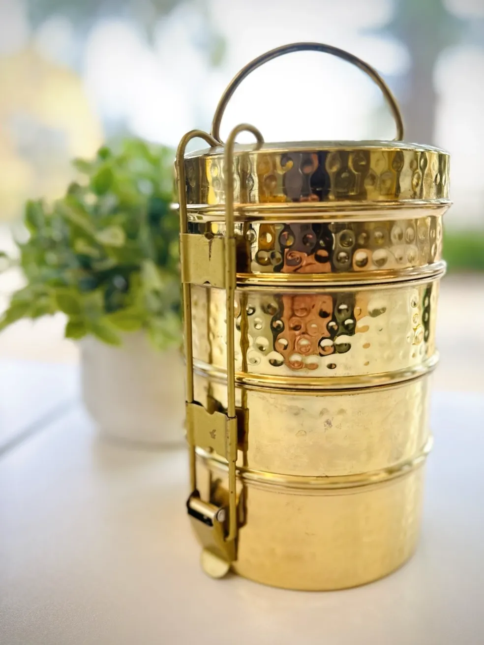 Healthy Tiffin | Global Indian