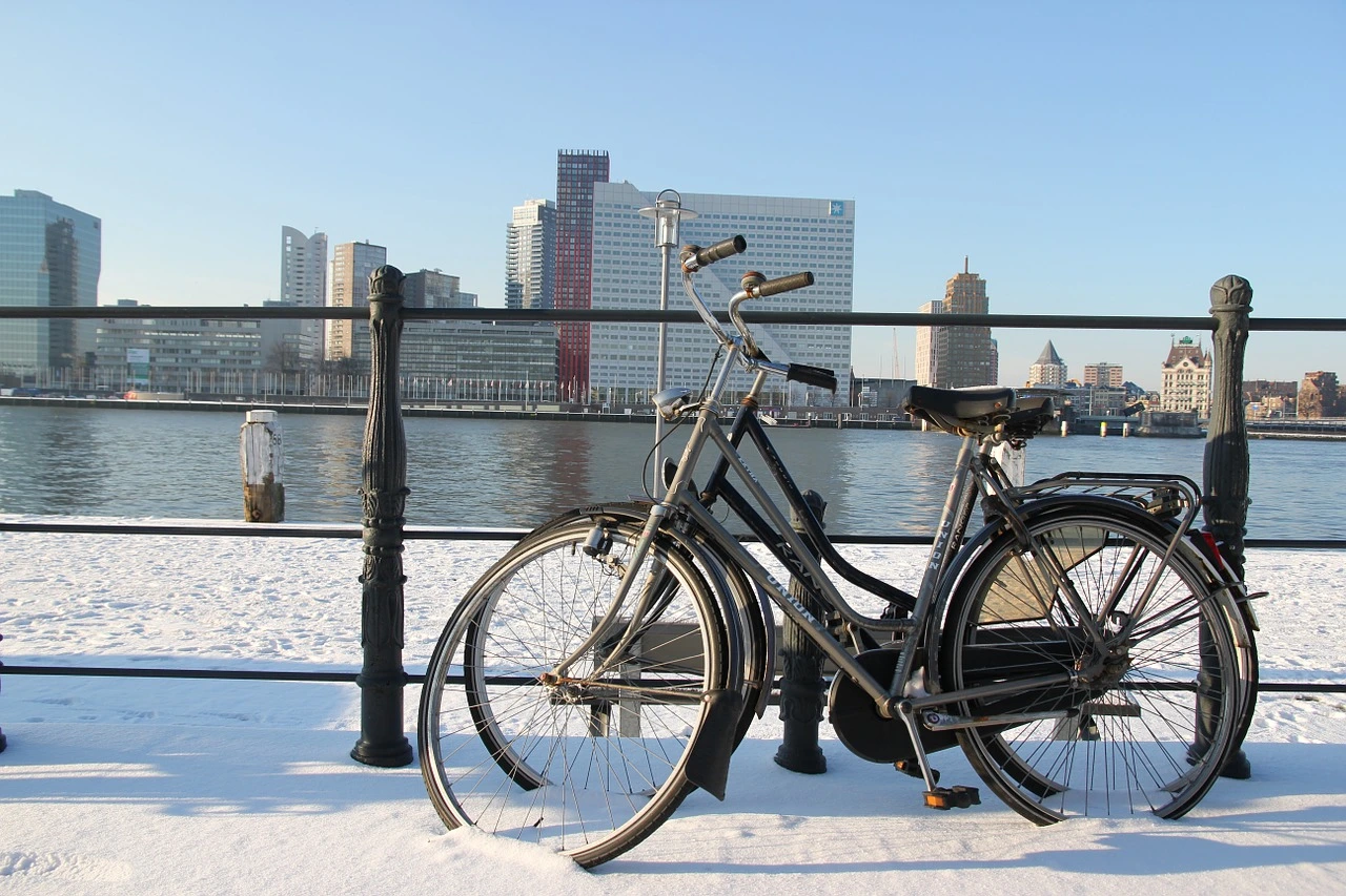 Dutch Winter | Global Indian