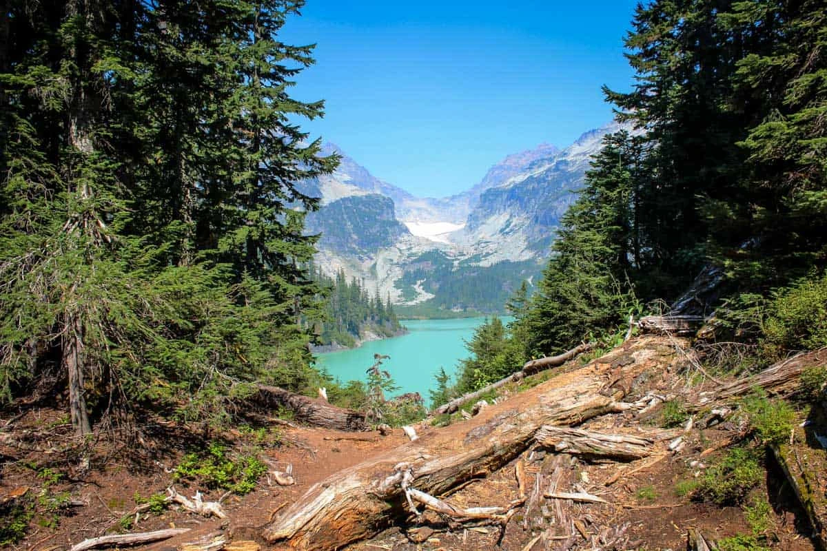 Hiking in Seattle | Global Indian