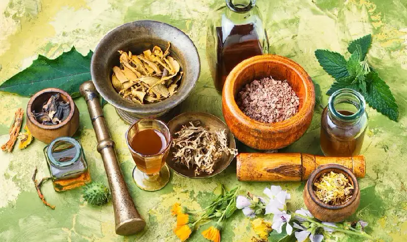 Ayurveda Products