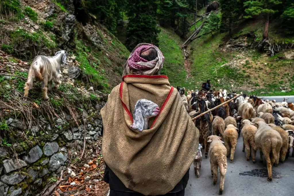 Photo by Rana Pandey