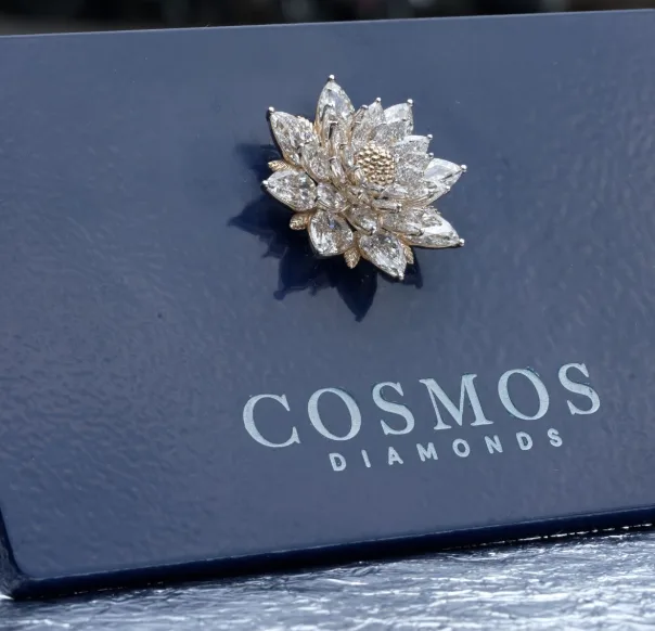 Cosmos Diamonds that went to orbit with Vikram-1