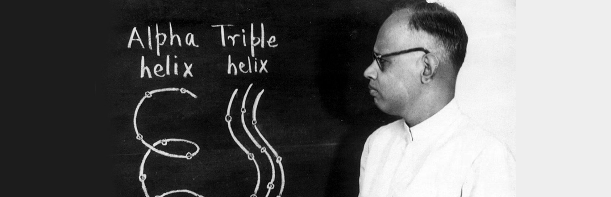 How a Madras scientist won the global race in the ’50s to crack the structure of collagen – Scroll.in