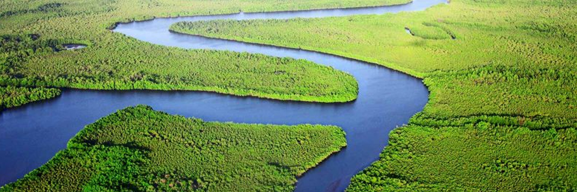 Young Indian environmentalists are working hard to save our planet
